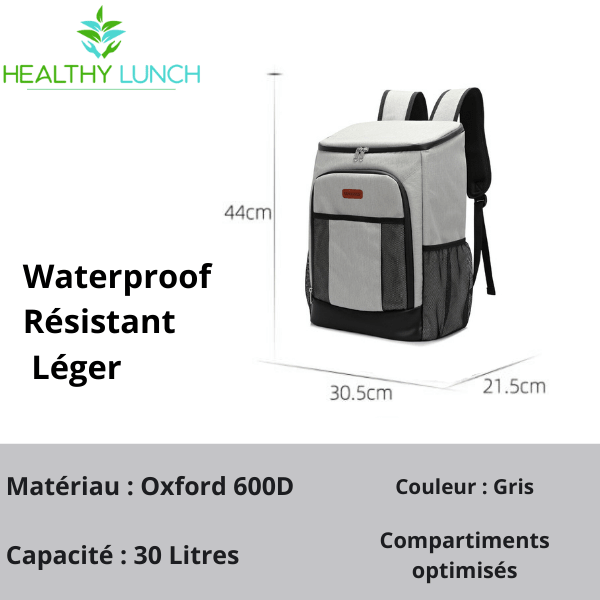 IceCarry™ Sac à Dos Isotherme Gris 30L