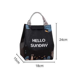 CoolCaddy™ Lunch Bag Noir Sunday
